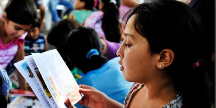 Se lanza la Campaña #NoEntiendenLoQueLeen