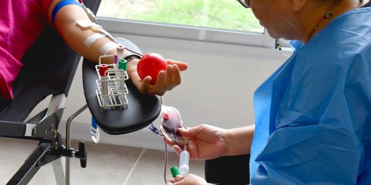 Día mundial de la Donación de Sangre: 1 donación puede salvar 3 vidas