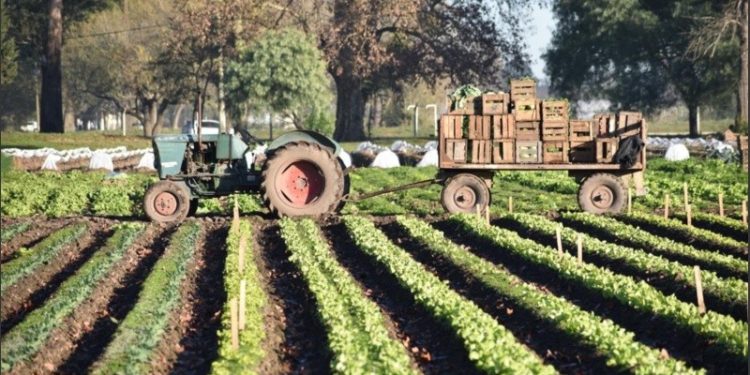Asistencia a productores frutihortícolas