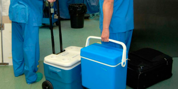 Donación de órganos: En la provincia hay 453 personas que esperan un trasplante