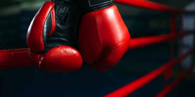 Festival de Boxeo y Kick Boxing en Recreo