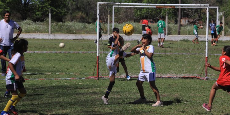 Más de 300 niños participaron de un Encuentro de Fútbol