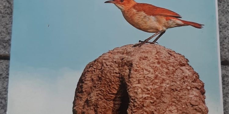 Alumnos de 5to. grado de la Escuela 1.277 escribieron un libro