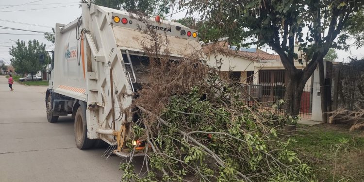 Dengue: Limpieza y descacharrado en barrio Centro y Vinelli